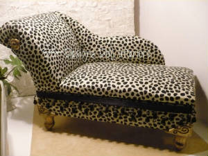 cheetahchaise1.jpg